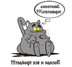 футболка pride