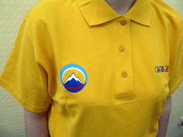 купить бордовые футболки